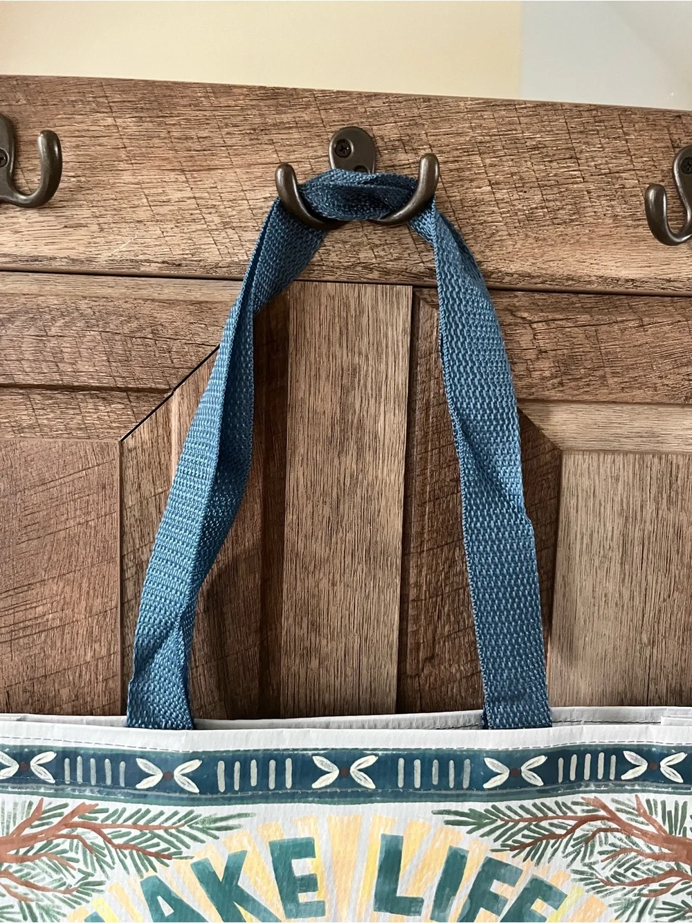 Lake Life ReusableTote– Blue/Teal